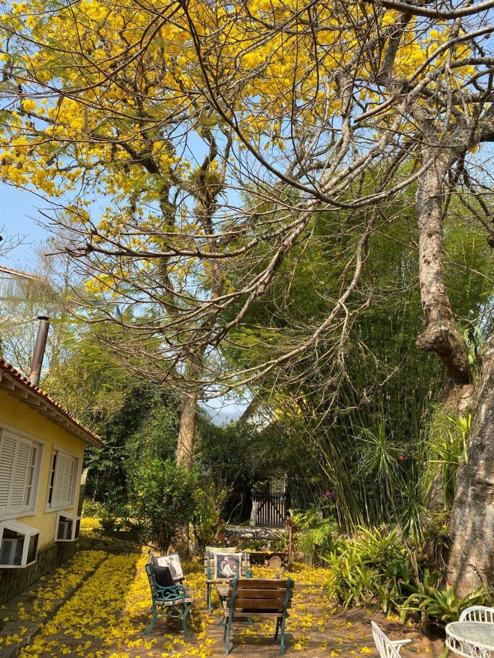 Pousada Casa Do Ipe Amarelo ミゲウ・ペレイラ エクステリア 写真