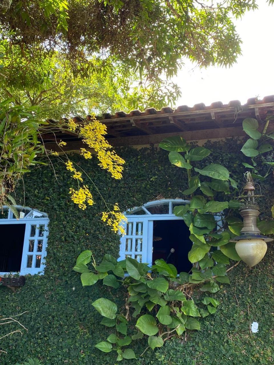 Pousada Casa Do Ipe Amarelo ミゲウ・ペレイラ エクステリア 写真